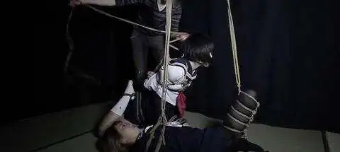 SP小圈全解析,你了解的和不知道的都在这里! 一
