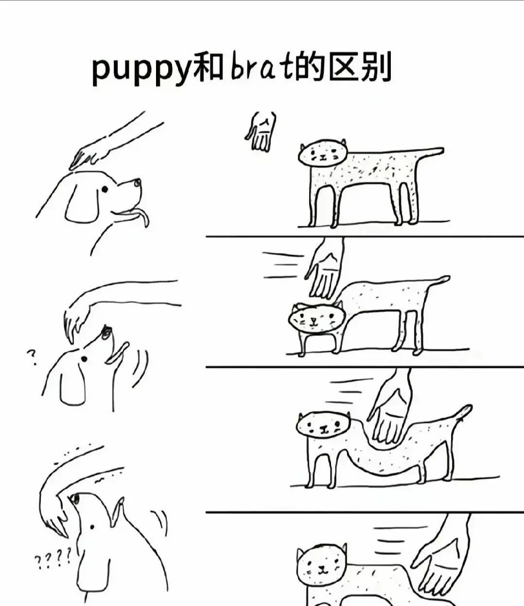 “你了解s属性的核心含义吗？如何在字母圈中找到属于自己的位置？” 一