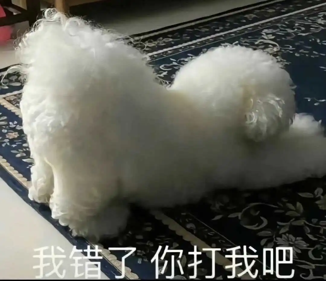 我发现了自己的m倾向,当我遇见他时,生活变得不一样了 一
