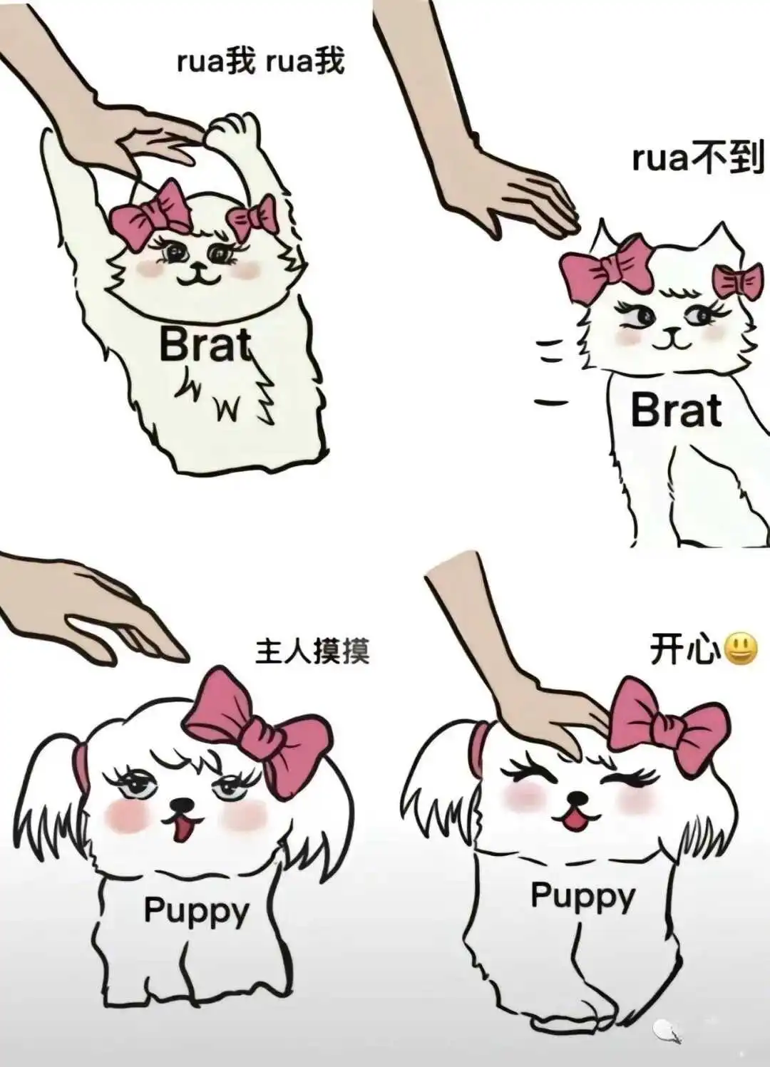 sub是什么?揭秘BDSM圈中臣服者的真实含义与魅力 一