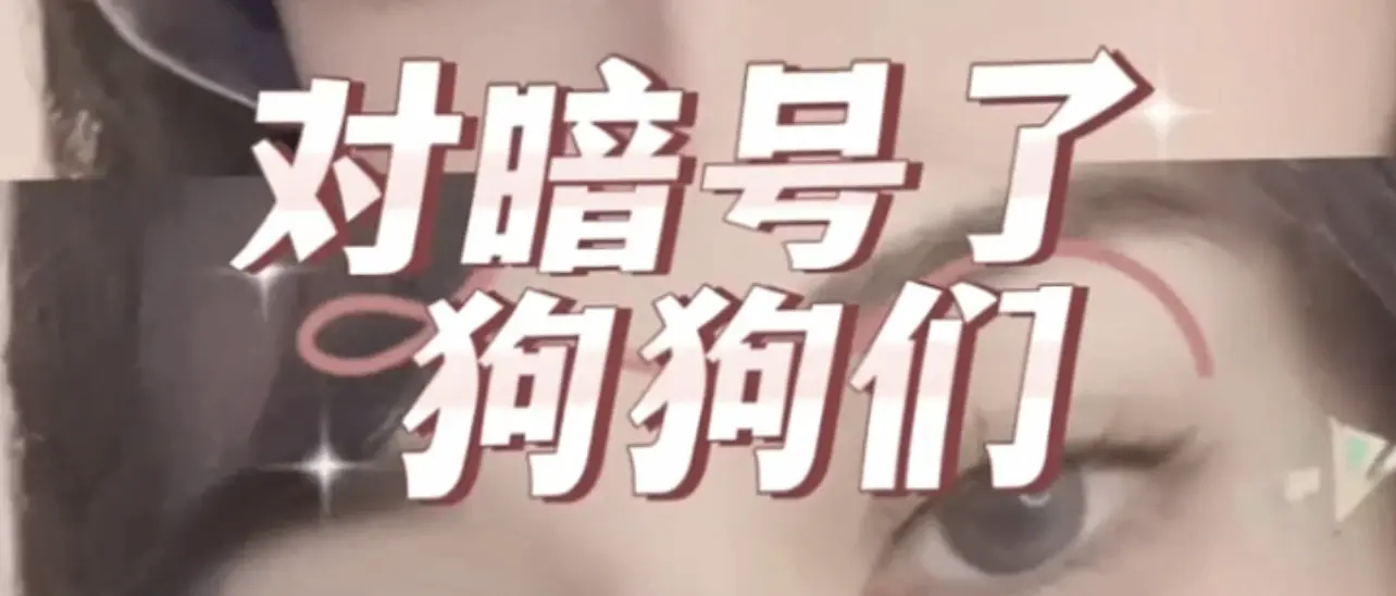 k8究竟是什么?它将如何改变你的生活? 一