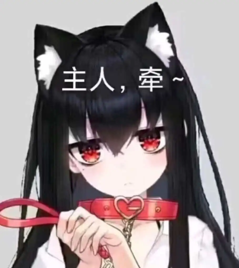 我的k8猫系女王与她的秘密游戏 一