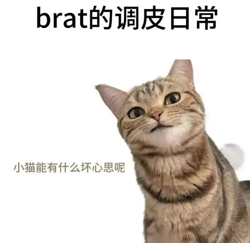 BDSM中支配者dom角色的魅力与挑战是什么? 一