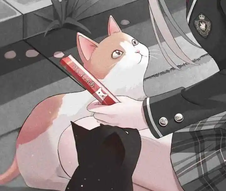 “M倾向”爱好者入门指南:你需要了解的核心秘密是什么? 一