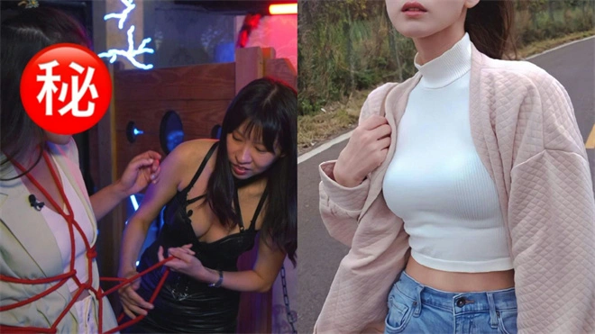 “探索DS关系：你是否也在寻找属于自己的身份与归属？” 一