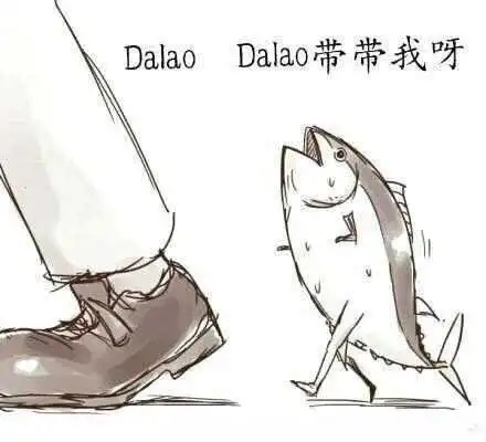 探索k8猫系:从初萌到深陷的完美指南 一