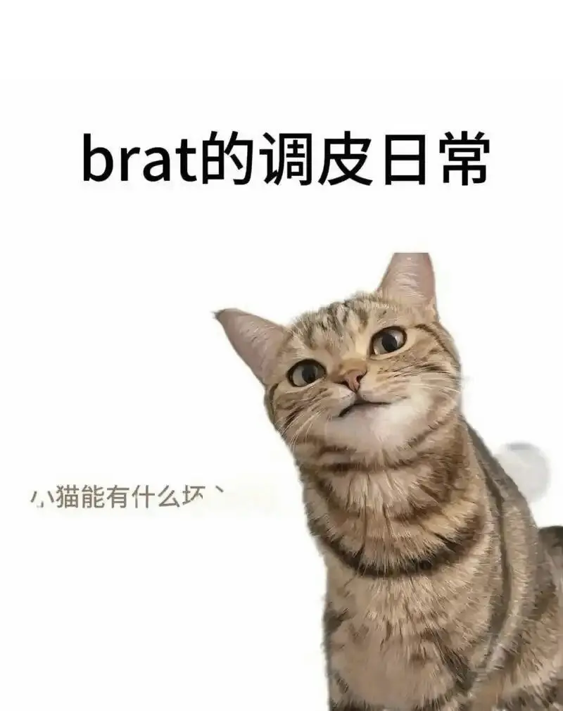 什么是dom？了解主导与从属的秘密！ 一