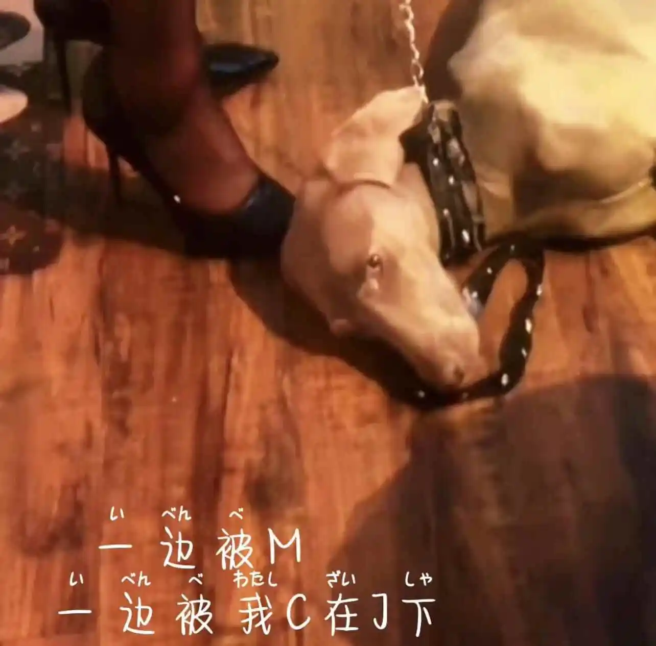 brat属性是什么?探索你未了解的另类魅力 一